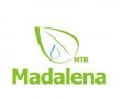 Madalena