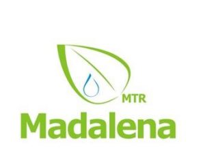 Madalena