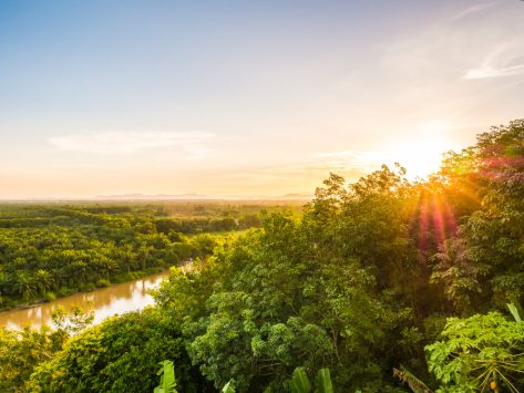 Gestão Ambiental