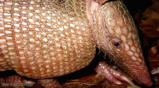 Divulgados os resultados para o Programa de Doutorado Sanduíche