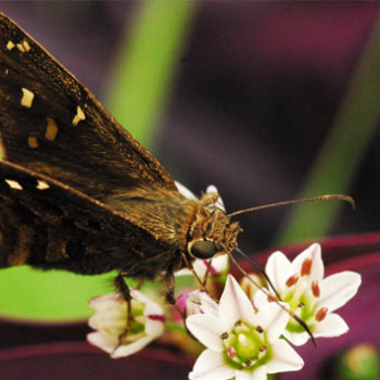 Divulgado o Edital de seleção 2025!