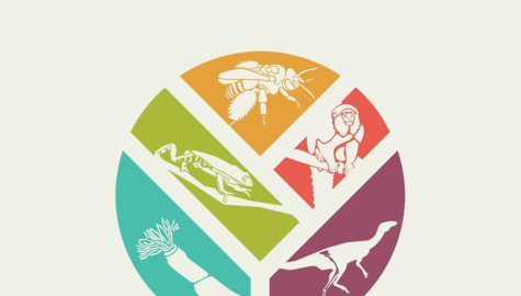 O VII Simpósio de Zoologia Sistemática está chegando!